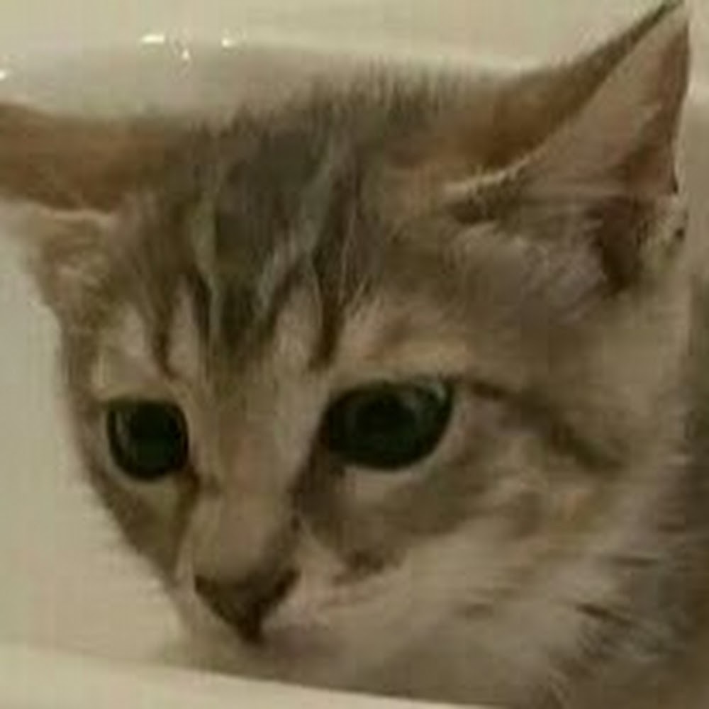 Meet your Posher, Nicolas